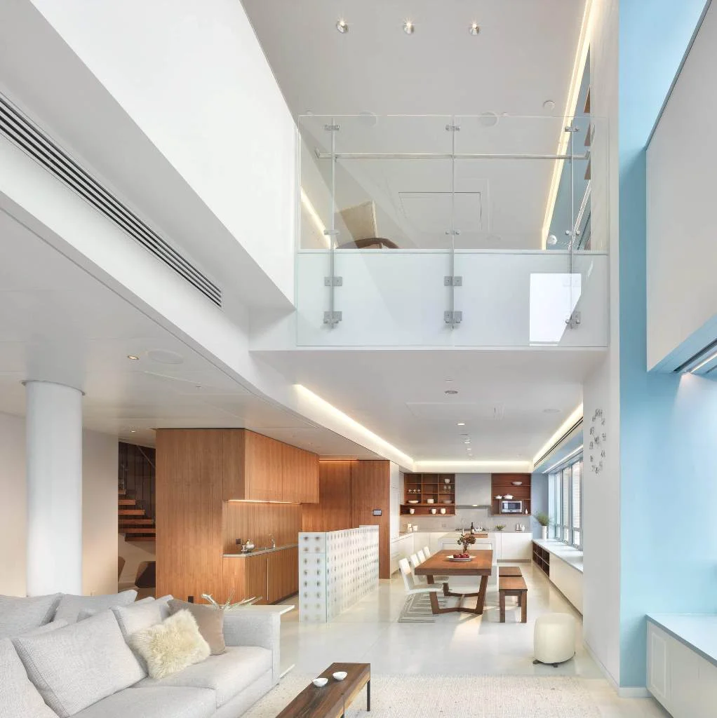 Minimalist Penthouse Living Room