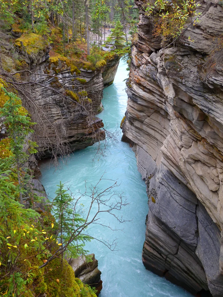 Athabasca Fall, Jasper National Park