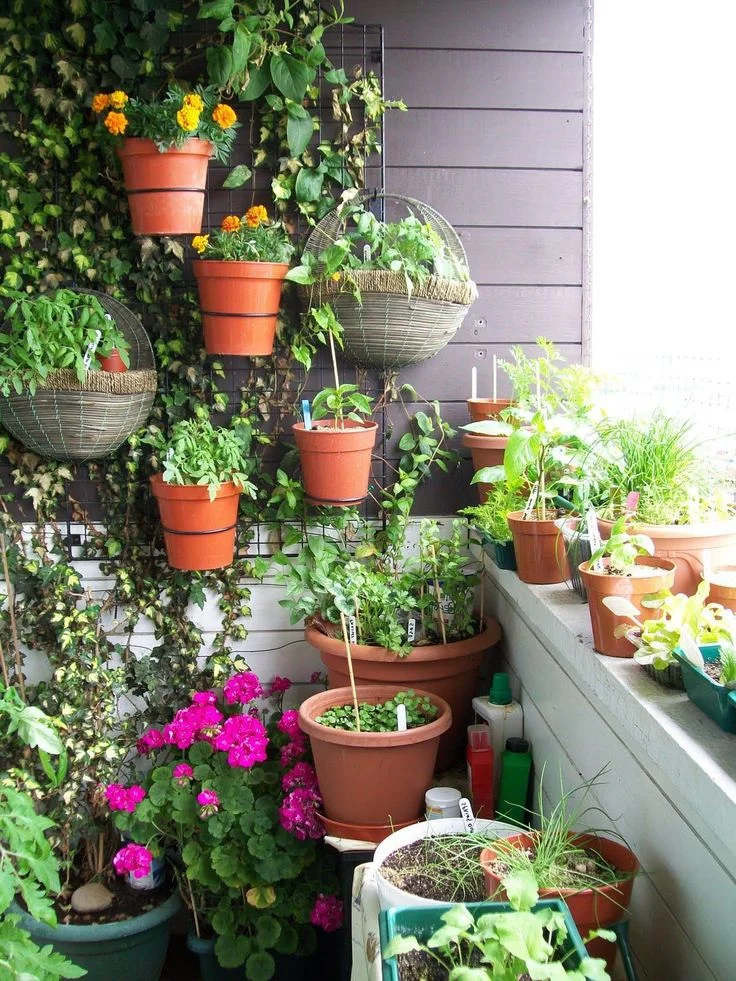 Terrace Garden Ideas