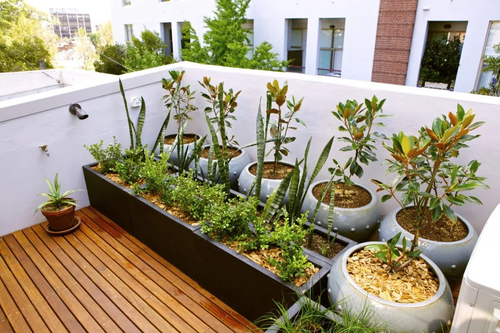 Terrace Garden Pots