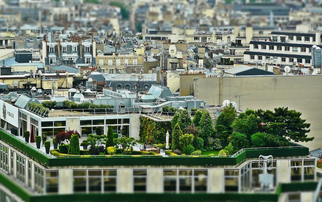 Terrace garden