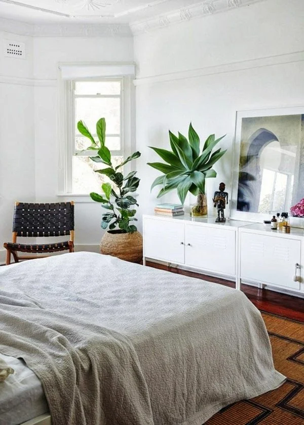 bedroom flower plants decor ideas