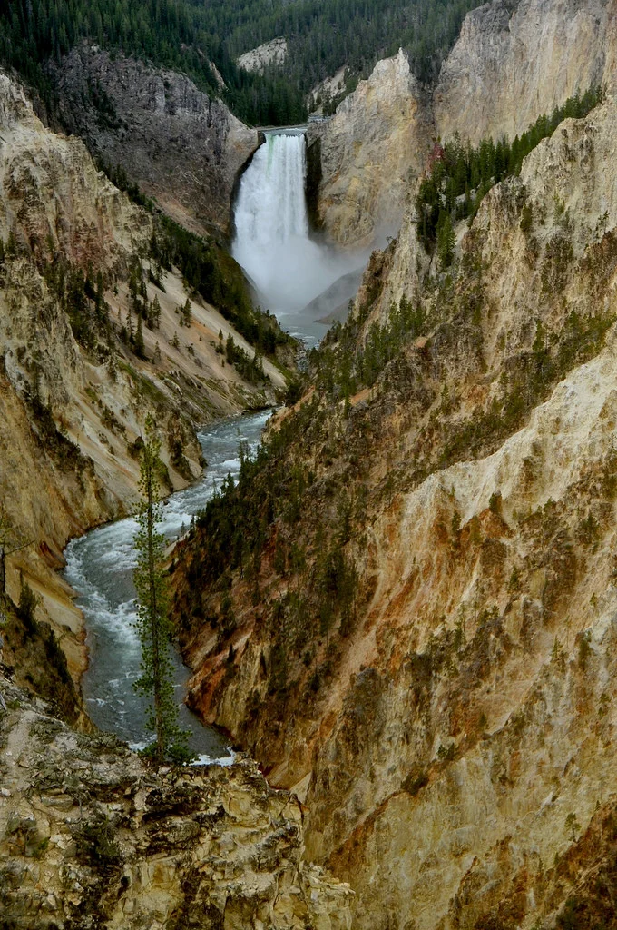 Yellowstone national park USA