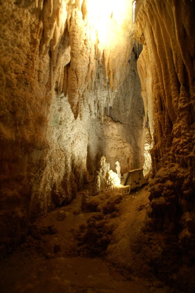 Glowworm Caves New Zealand