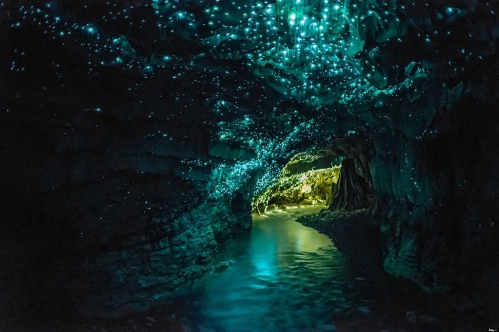 Glowworm Caves