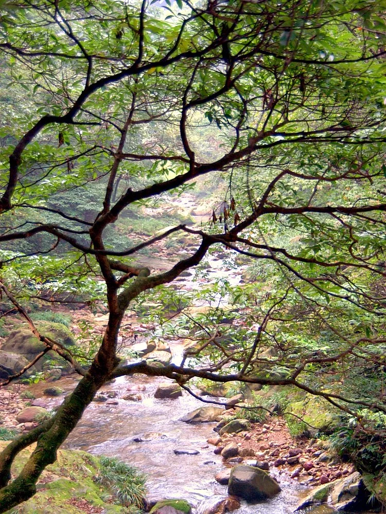 Zhangjiajie National Forest Park China