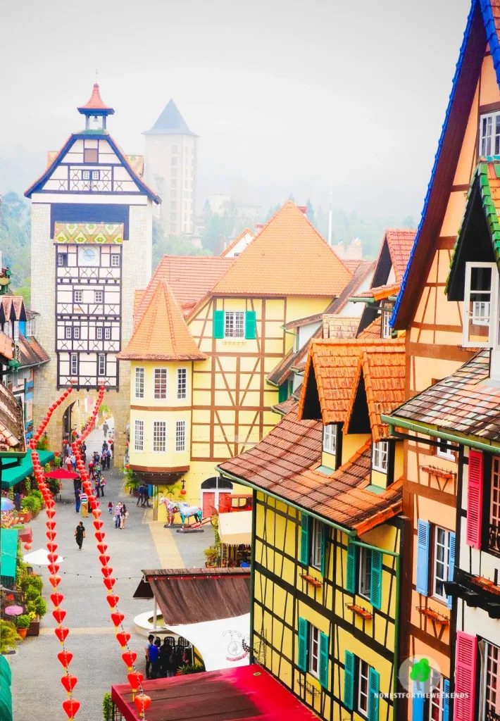 colmar tropicale