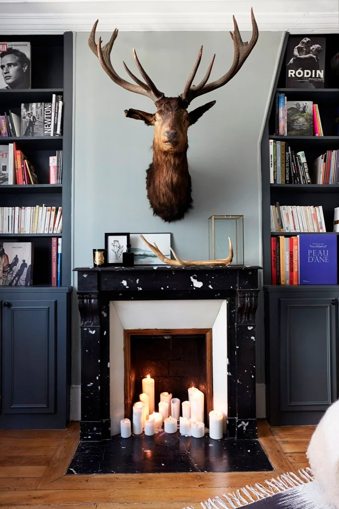 Living Room Fireplace and Library Design