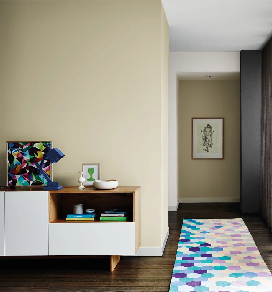 Living Room Colorful Carpet And Wall Color Ideas