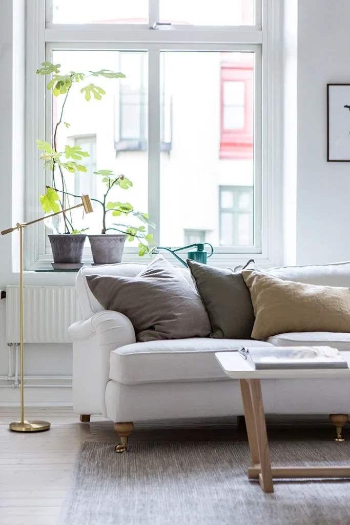 decorative sofa pillows living room