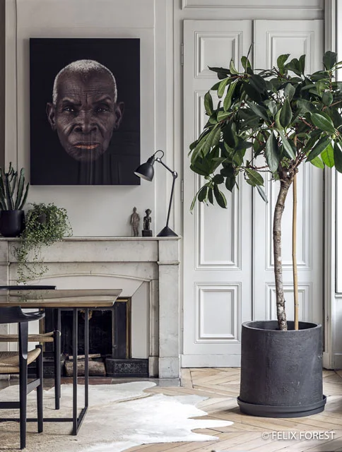 Big plant decor near mantelpiece
