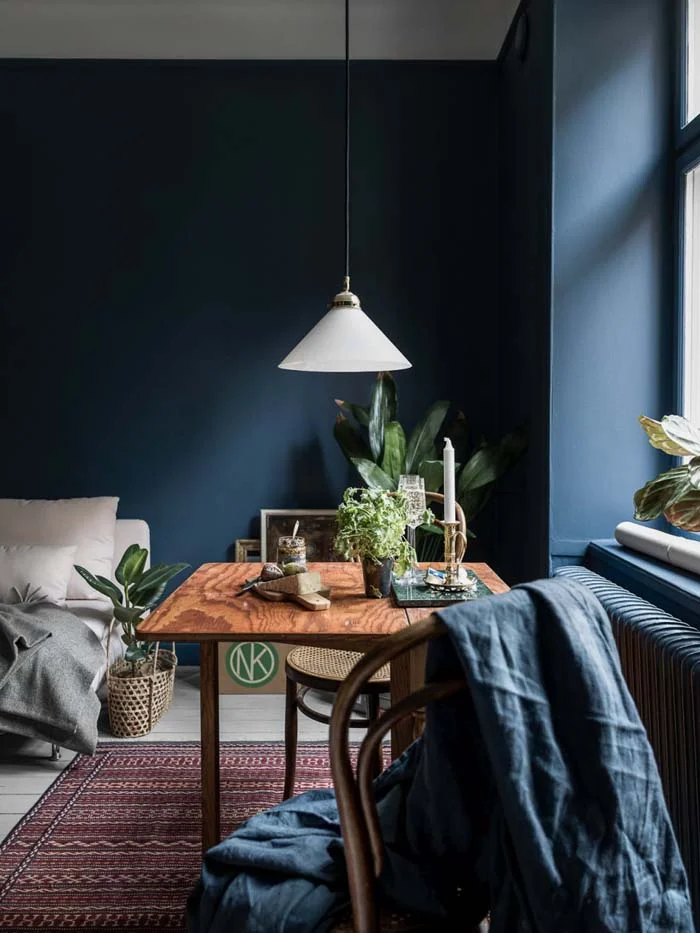 Small Space Dining Table on Rug With Lamp and Plants Decoration