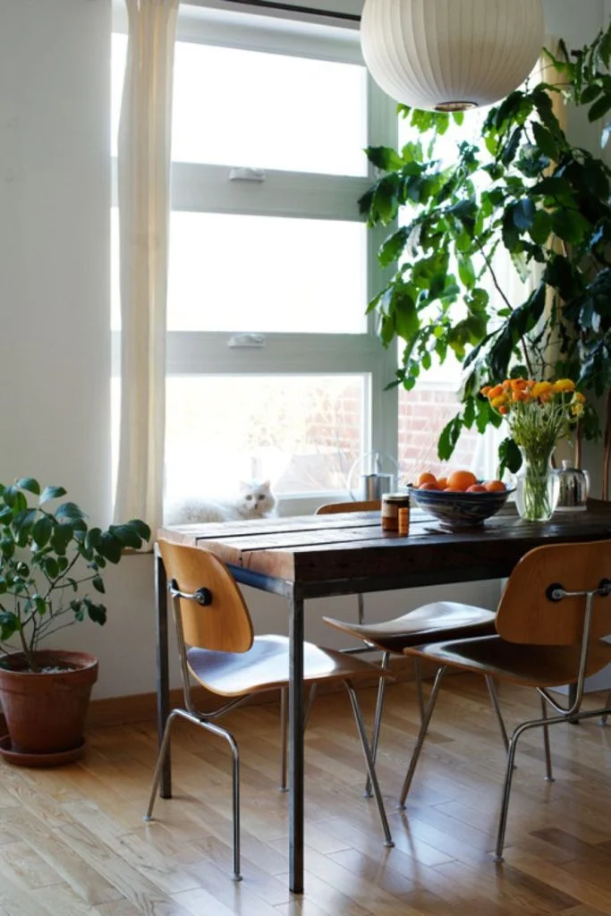 apartment in New York City