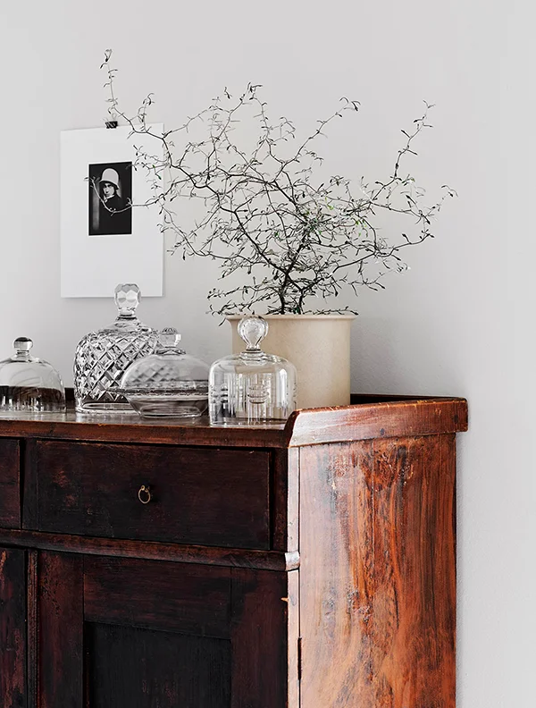 glass accerrious and small plant on old wooden rack