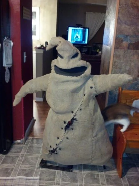 Conure Oogie Boogie Halloween