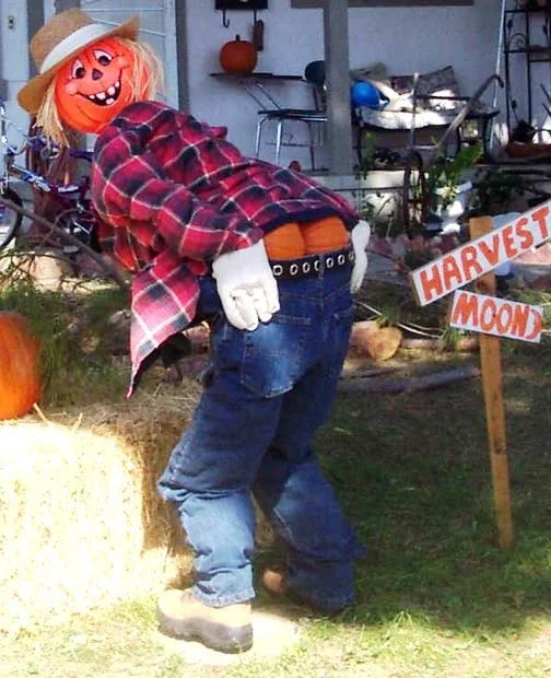 Funny Halloween Decorations