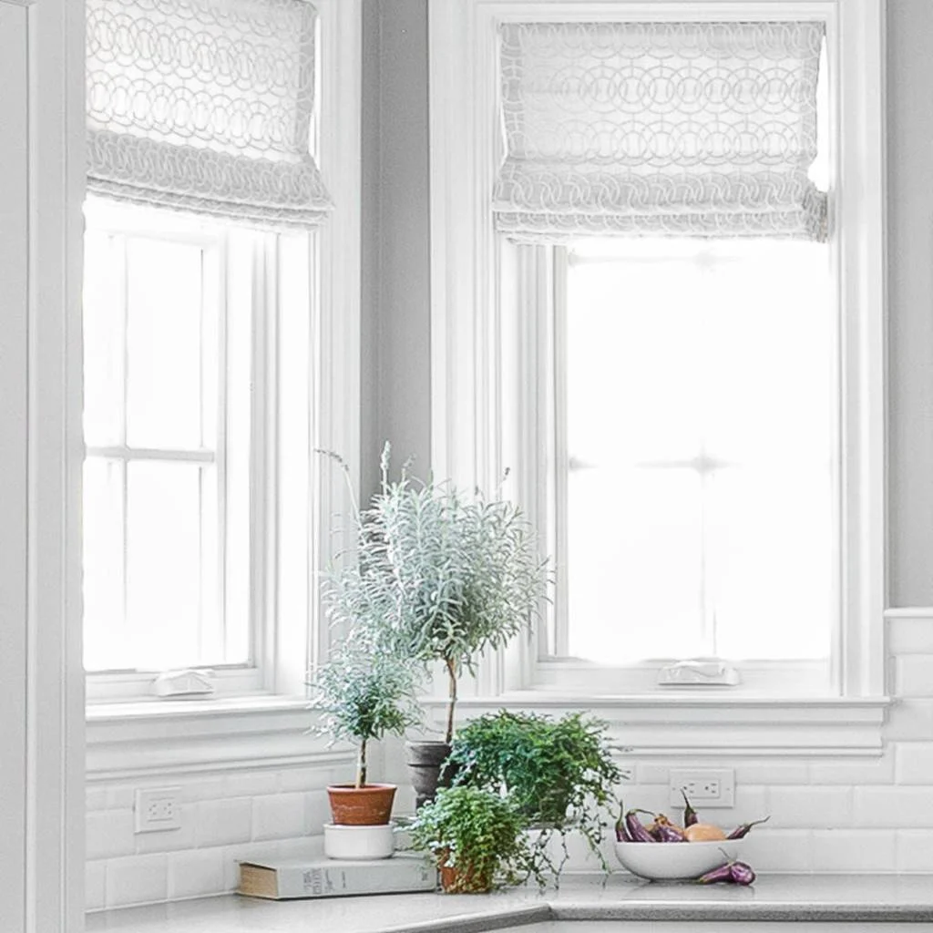 Little Indoor Garden