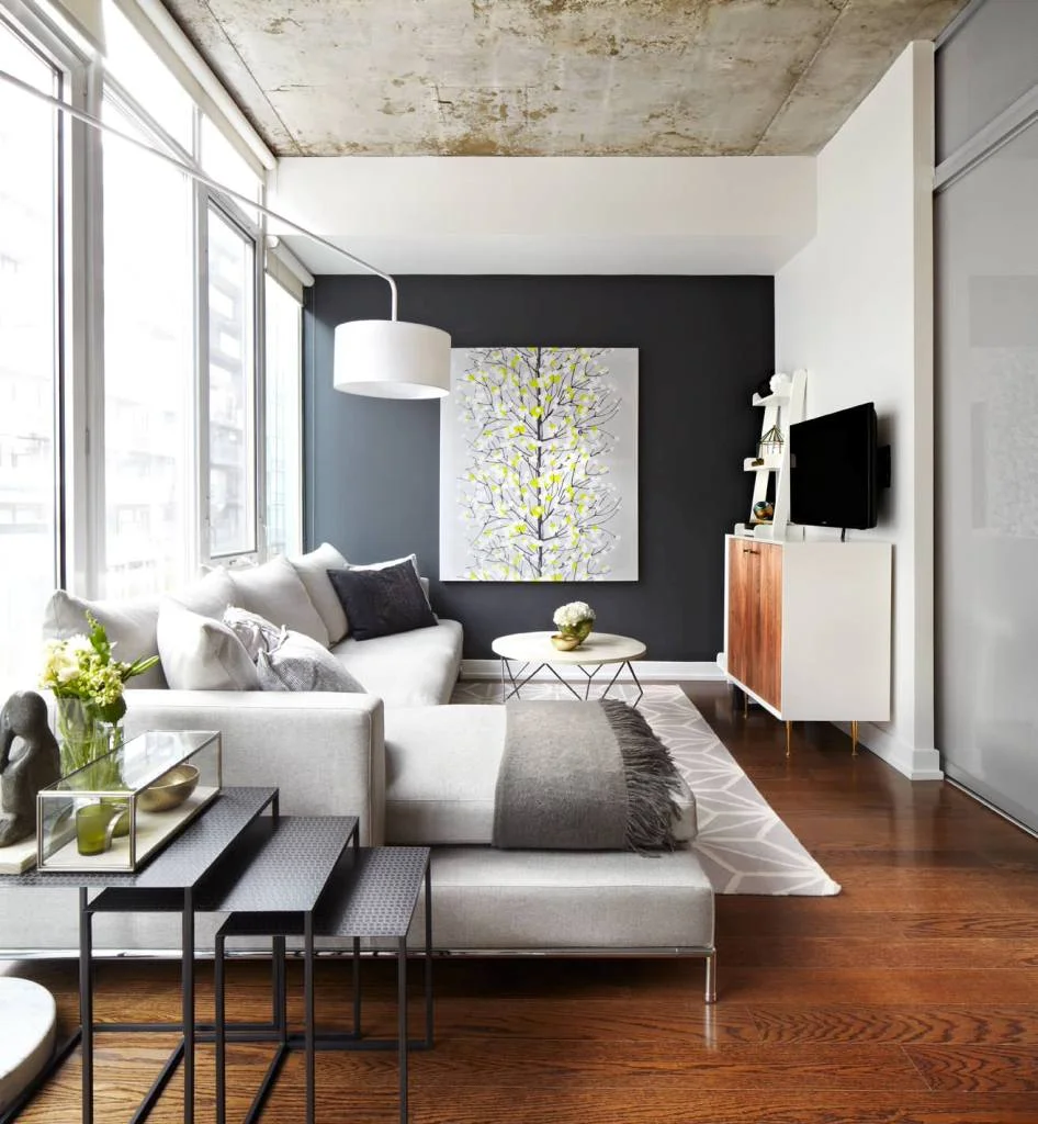 Long Narrow Living Room