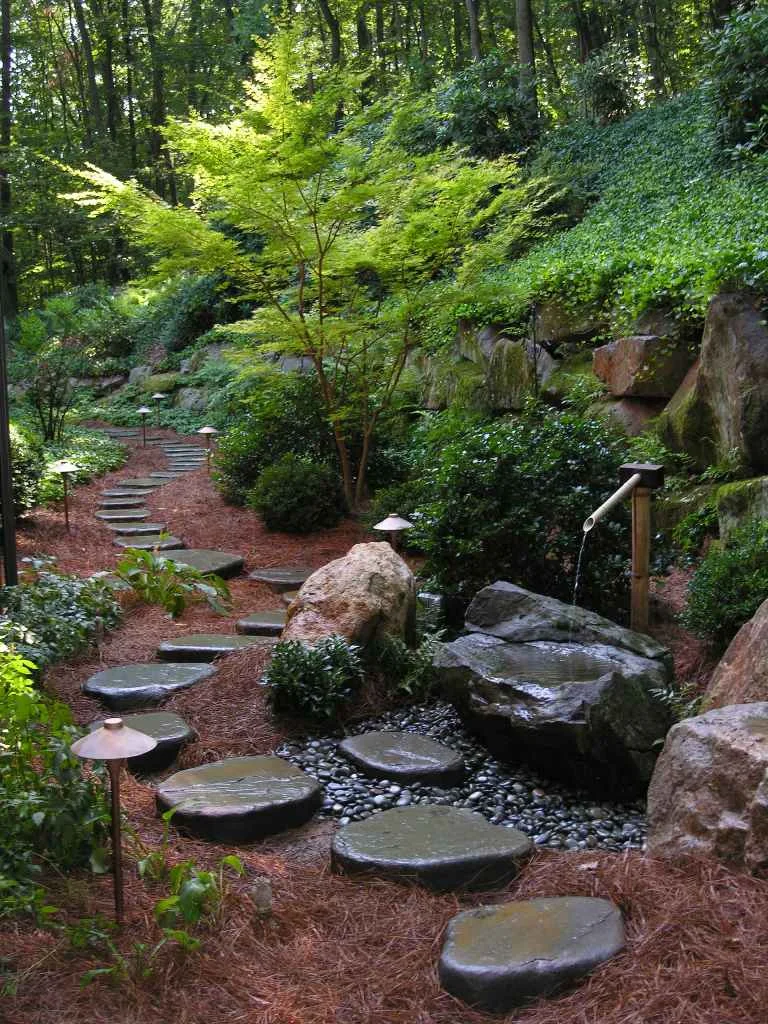 Designing and Planting a Woodland Garden