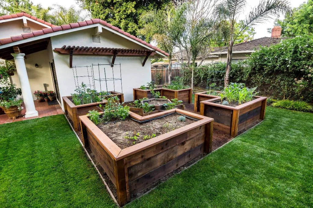 Raised Bed Vegetable Garden