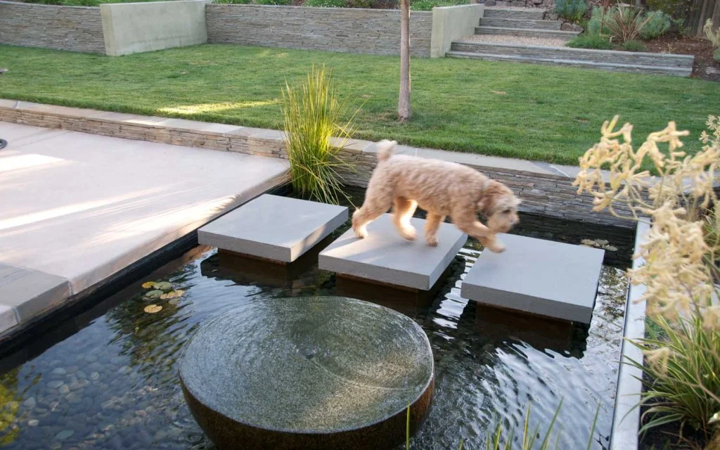 Water Crossing Path