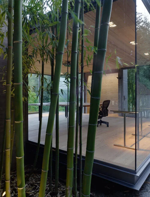 Teahouse Landscaping With Evergreen Trees
