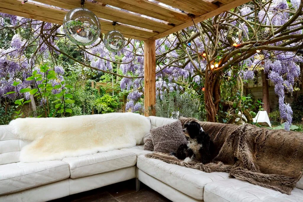 garden lounge natural lights