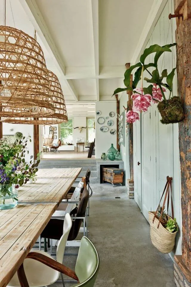 hanging plant decor