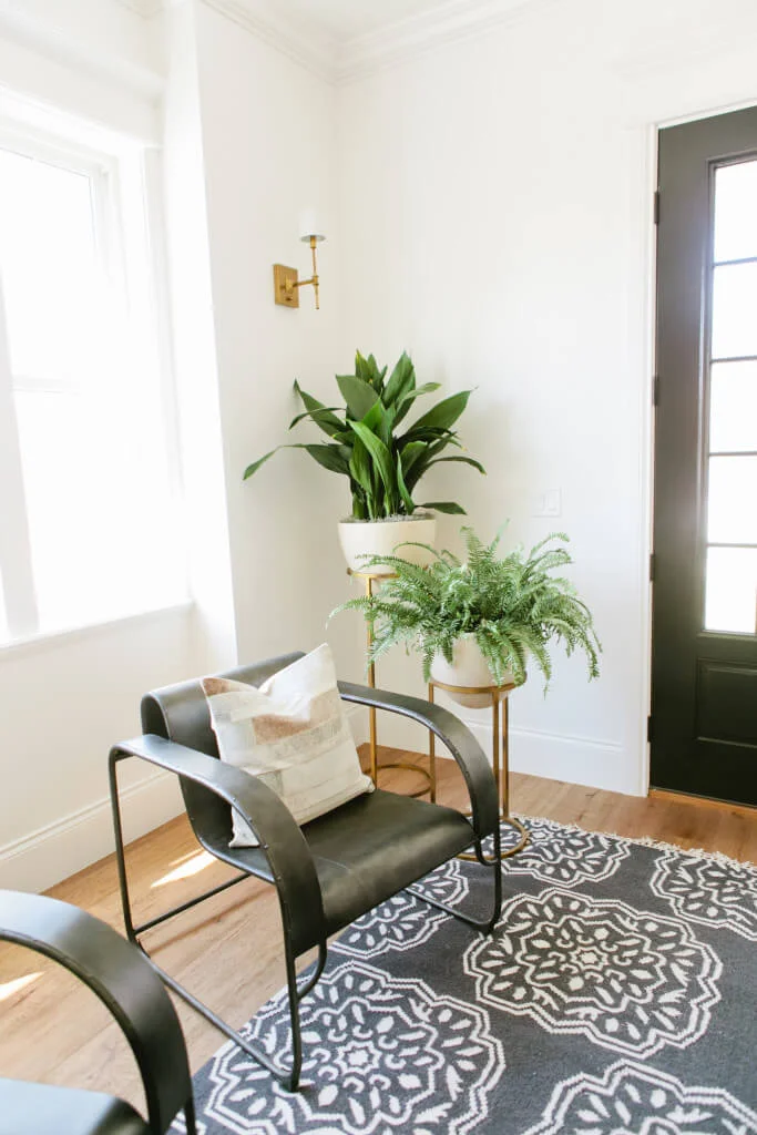 wall sconce and medallion rug