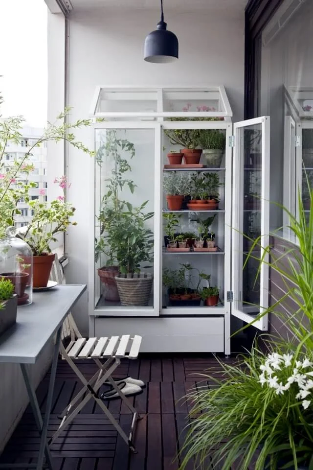 balcony plants container decoration