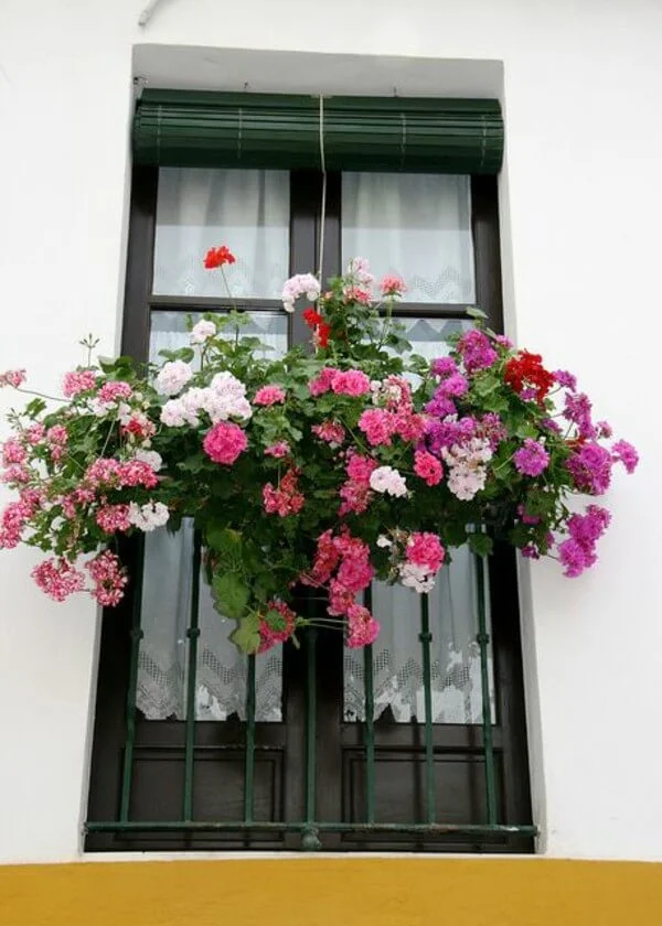 balcony railing hanging plants decoration