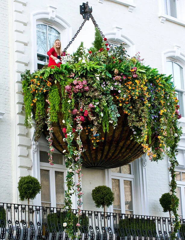 giant flower basket window garden
