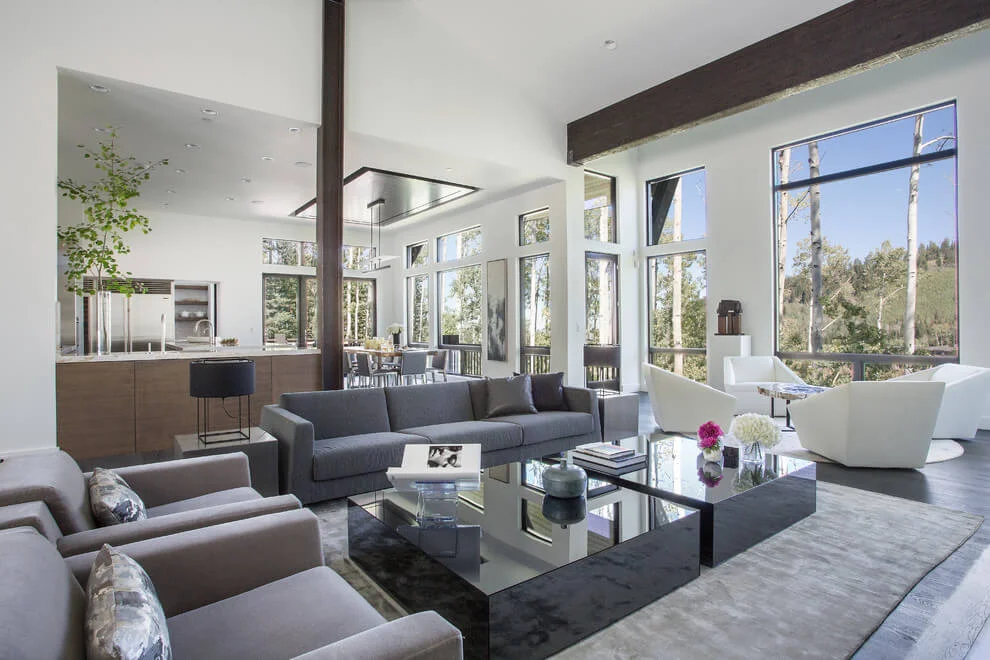 modern elements home project