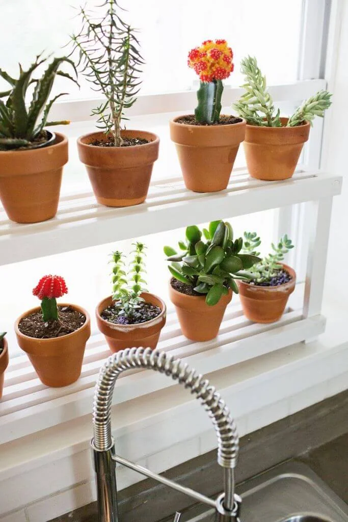 window pots shelf decoration