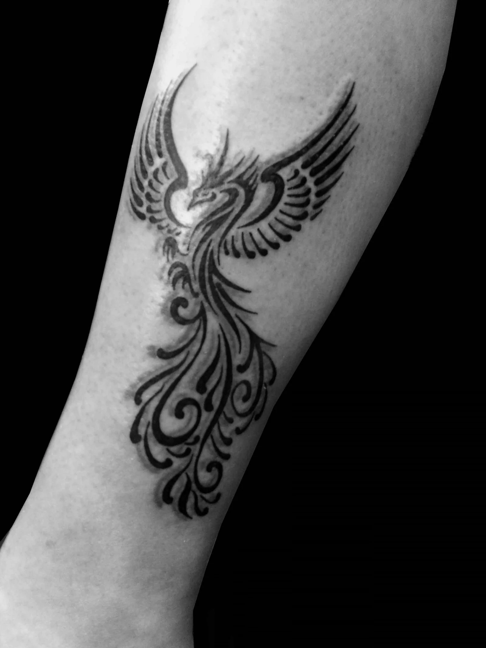 Tribal Phoenix Tattoo