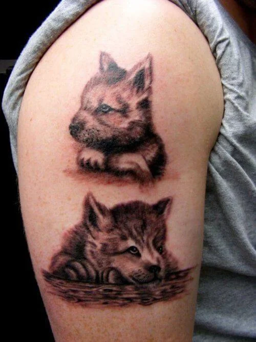 Baby Wolf Tattoo