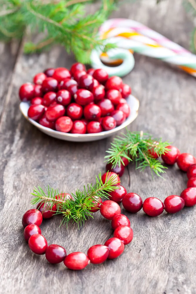 Beautiful Cranberry Mini Wreaths