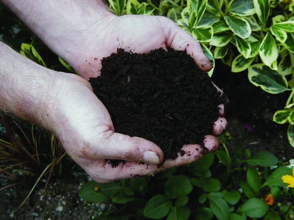 Care For Soil In Winter Gardening