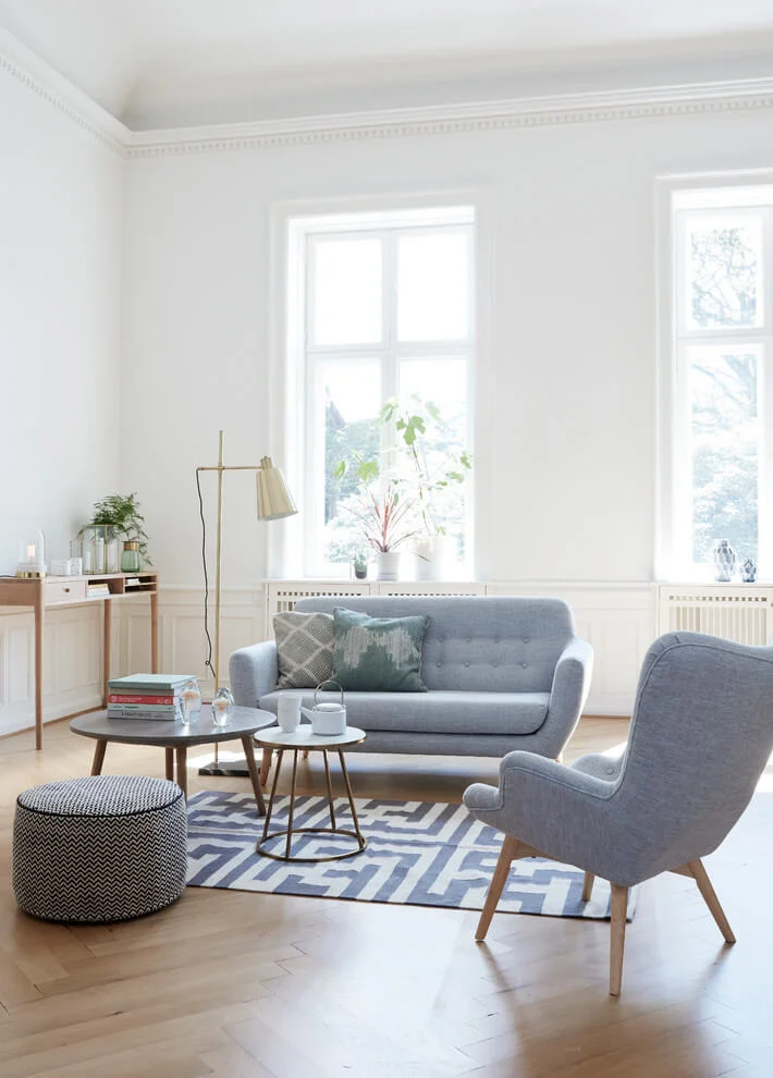 Clean Simple Spacious Living Room