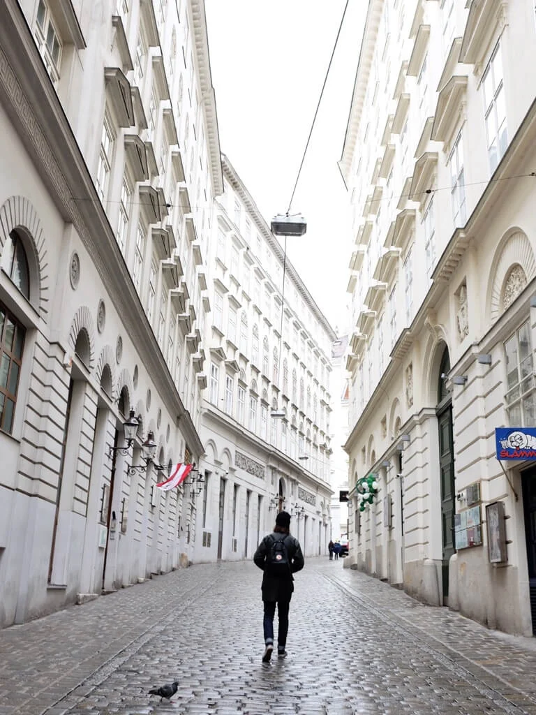Easy Accomodations In Vienna