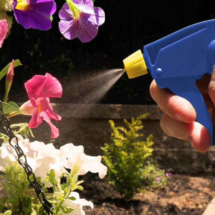 Reduce Watering Plants In Winter