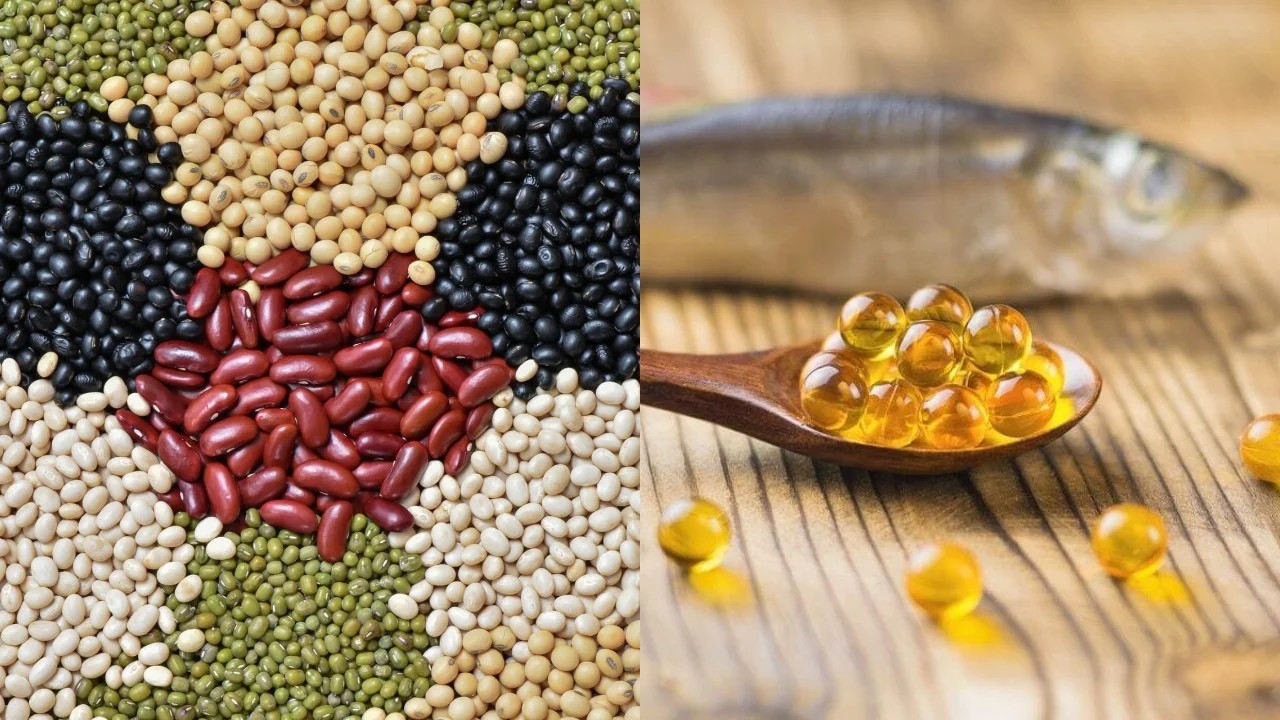Diet for Pregnant Women