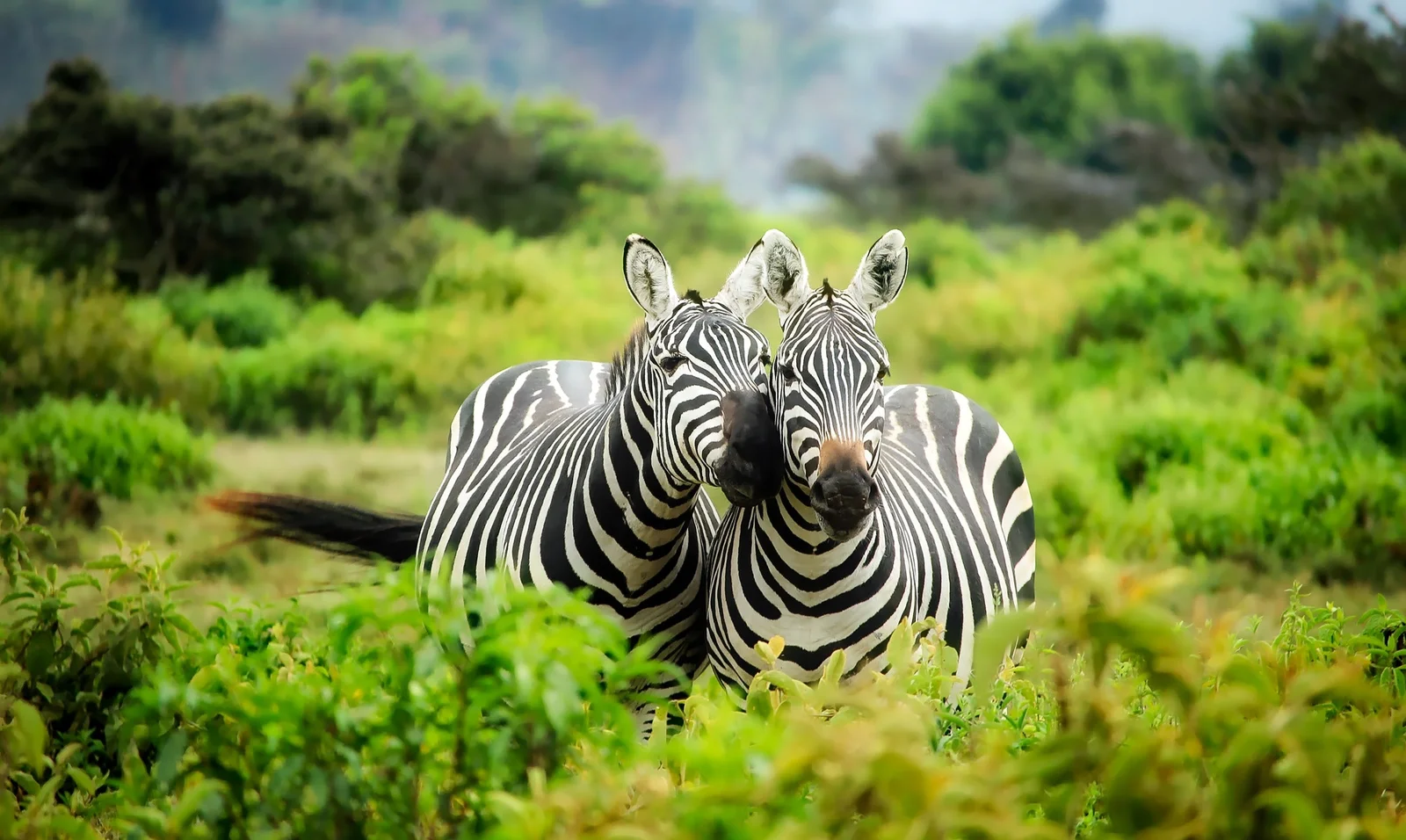 Best Destinations to Visit in Africa