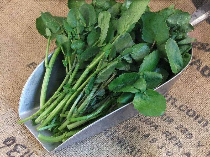 Watercress Hydrates The Skin