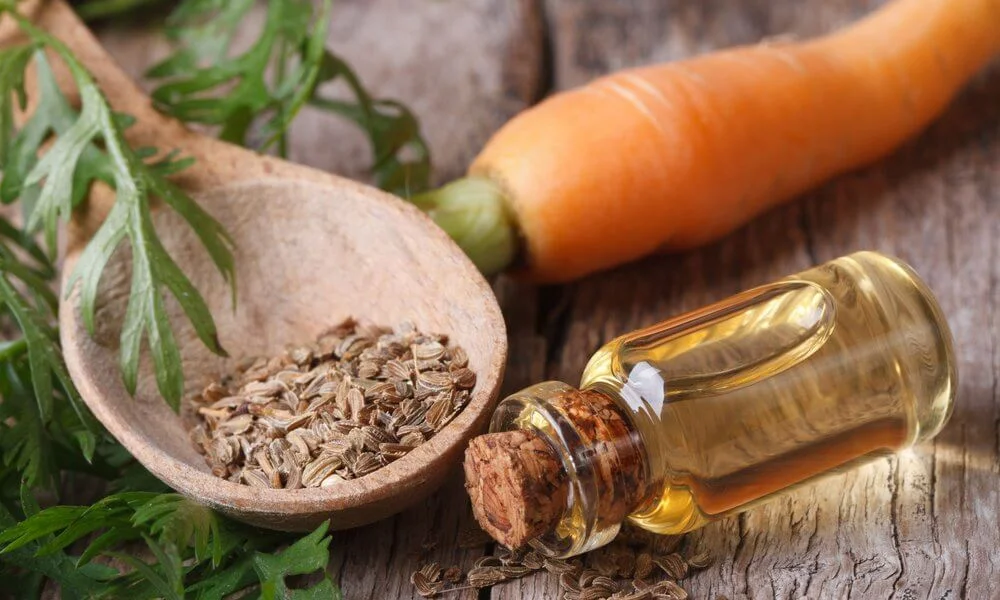 Carrot Seed Oil For Skin Protection