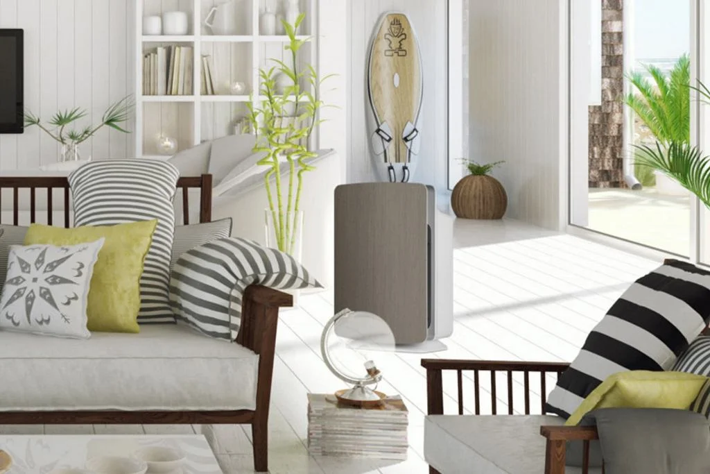 How Air Purifiers Work