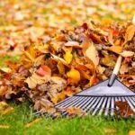 Remove Pile-up Autumn Leaves