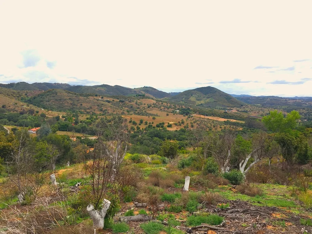 Types of Land Trusts