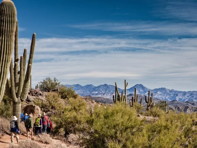 McDowell Sonoran Preserve Hike