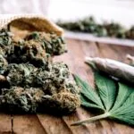 Sativa, Indica